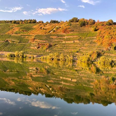 Neue Loft Im Alten Kelterhaus - Urlaub Im Wein- Und Ferienort Bekond Eksteriør bilde
